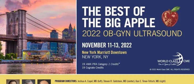 Best of the Big Apple OB-GYN Ultrasound New York USA