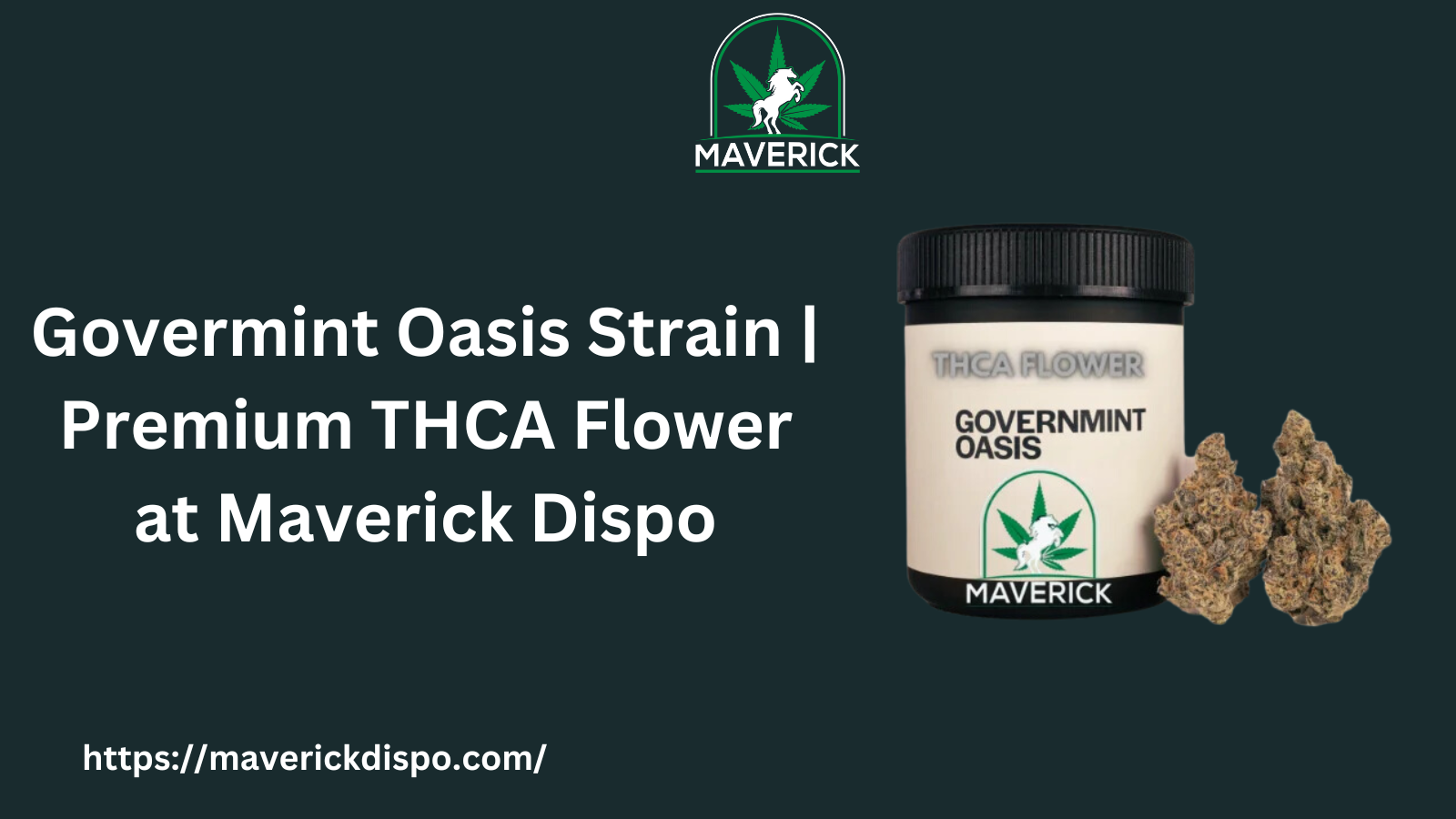 govermint oasis strain