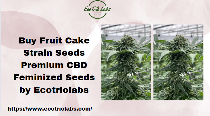 Fruit Cake Strain Seeds