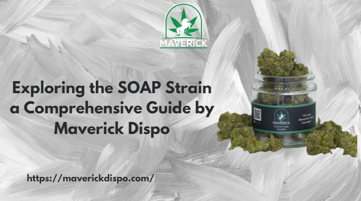 SOAP strain